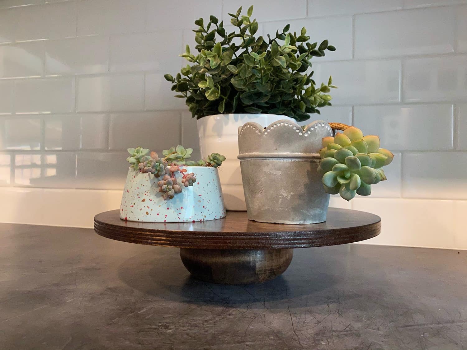 Three plants on a wooden DIY plant stand